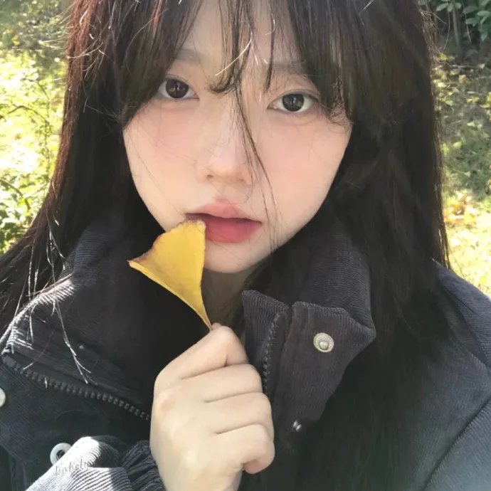 相合伞
