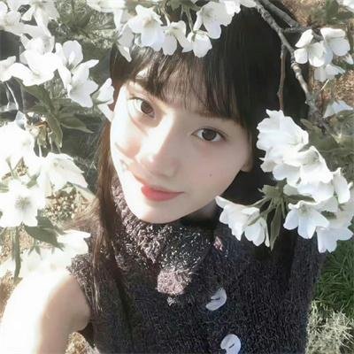 寻找阿尔塔米拉